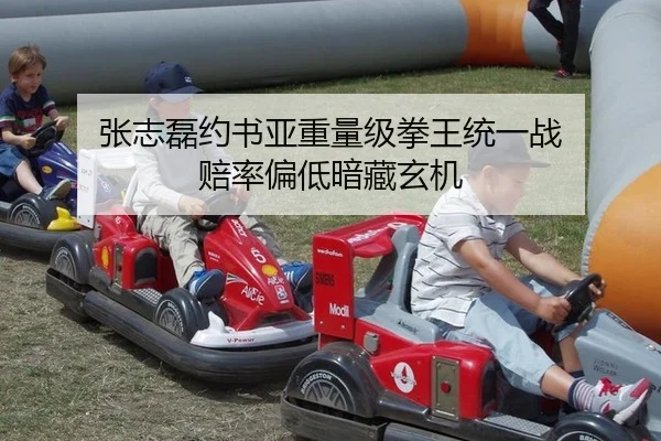 张志磊约书亚重量级拳王统一战 赔率偏低暗藏玄机