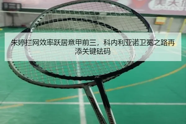 zhu-ting-lan-wang-xiao-lv-yue-ju-yi-jia-qian-san-ke-nei-li-ya-nuo-wei-mian-zhi-lu-zai-tian-guan-jian-fa-ma-3-734.jpg